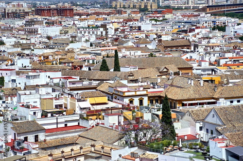 Aerial view of the old quarters and the roofs of Seville. Spain. Andalusia.