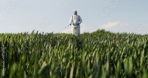 View from below on Caucasian male farmer in white protective costume, mask and goggles walking the green field and spraying pesticides with pulverizator. Man fumigating harvest with chemicals. photo