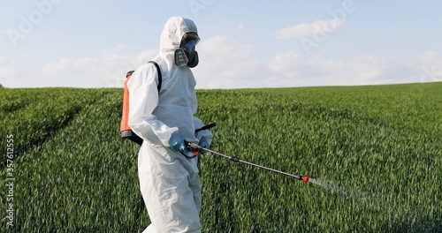 Male farmer in white protective clothes, gloves, mask and goggles walking the green field and spraying pesticides with pulverizator. Man fumigating harvest with chemicals. Fertilizer concept. photo