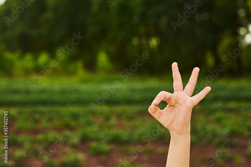 Hand shows emoji emoji ok. signs with your hands © Екатерина Мазур