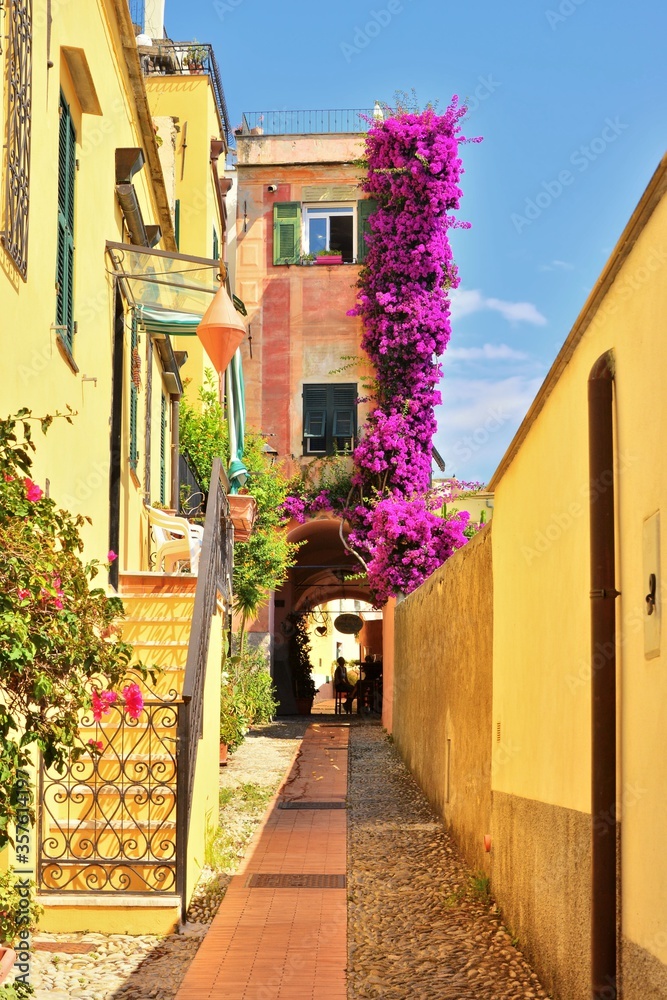 Cervo, Imperia, Liguria, Italia.

Una delle graziose e pittoresche strade che attraversano il centro storico di Cervo, uno dei Borghi più belli d'Italia.
