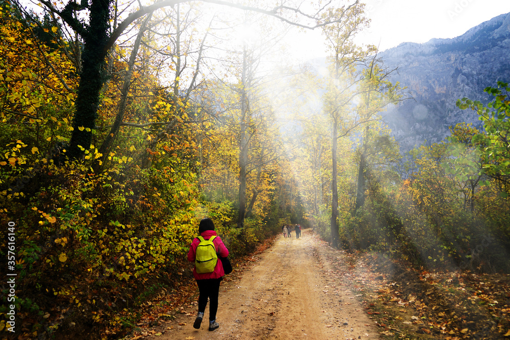 Landscape image of dirt countryside dirt road with colorful autumn leaves and trees in forest of Mersin, Turkey Landscape image of dirt countryside dirt road with colorful autumn leaves and trees in forest of Mersin, Turkey