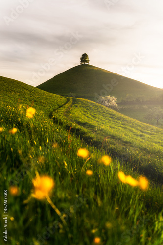 Hirzel am Abend photo