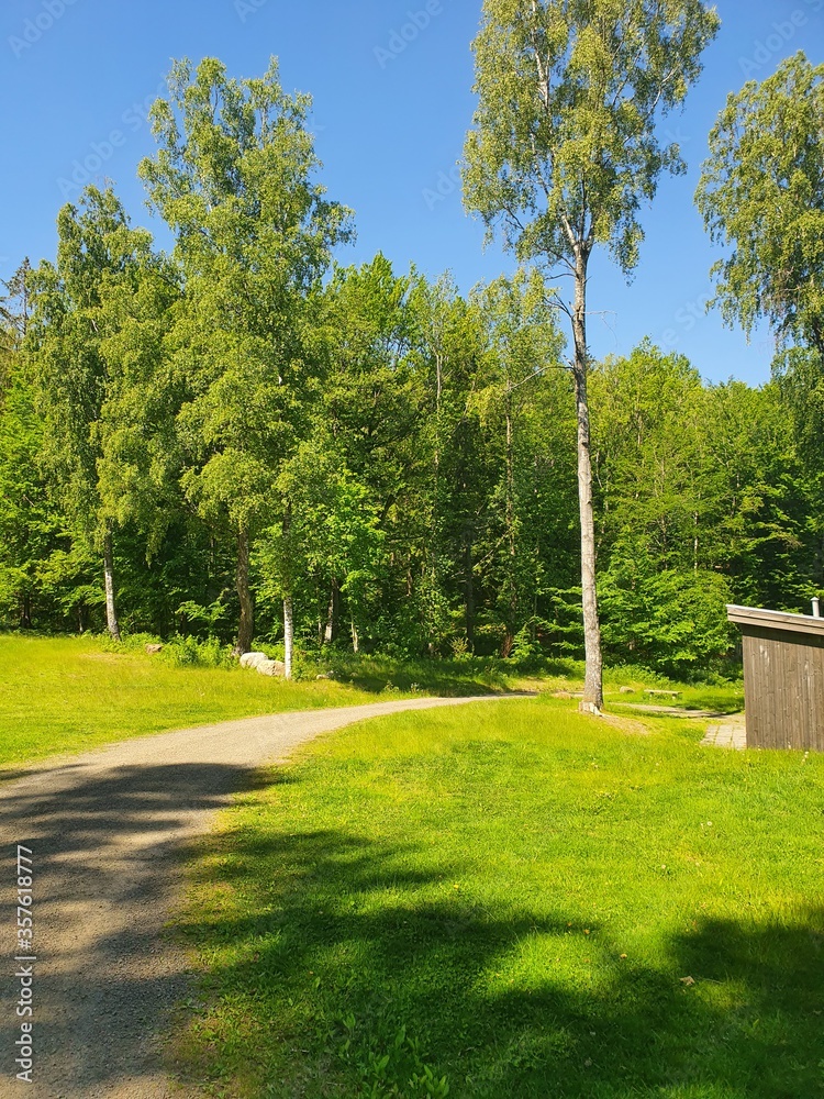 Obraz premium path in the park