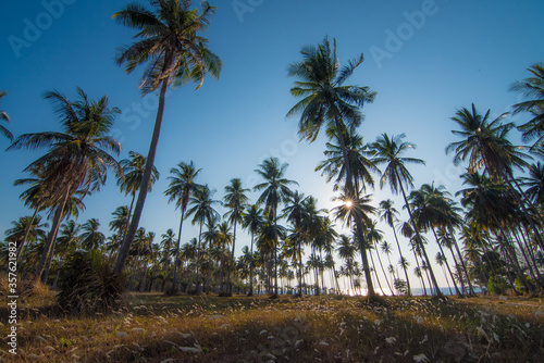 Beautiful tropical beach at island © T i M e L a P s E