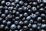 Photography of blueberries for food background