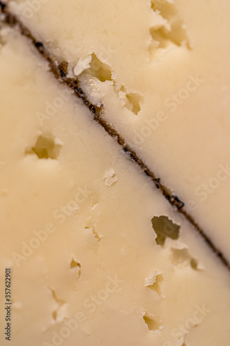 Cheese with truffles. Macro closeup. Delicious expensive cheese.