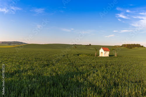 Beautiful green field that ripples and the sun shines on them. A landscape of waves called Moravian Tuscany in the Czech Republic.