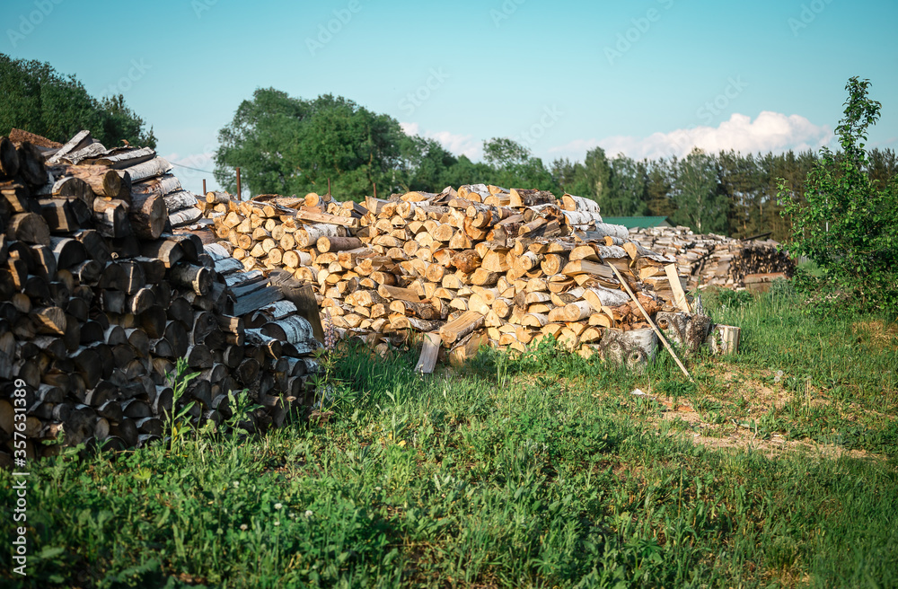 Large firewood from different species of wood