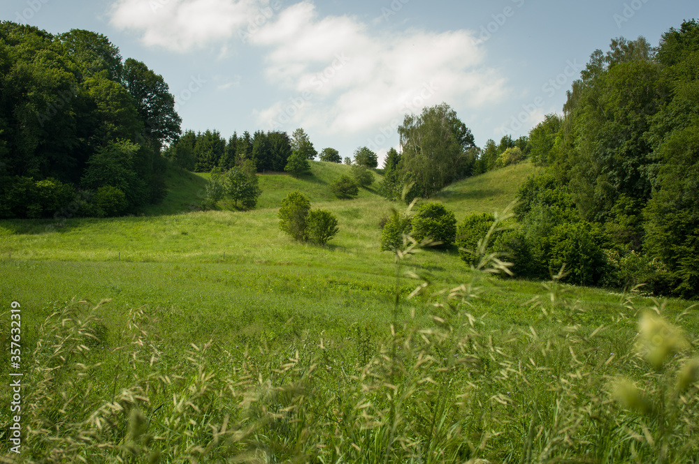 Obraz premium beautiful nature