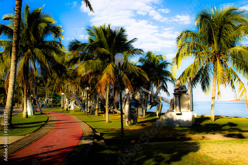palm trees on the beach