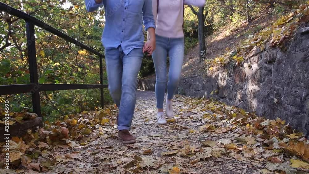 Young people couple walking in the autumn forest. Girl and guy in the park walk along the path holding hands Young people couple walking in the autumn forest. Girl and guy in the park walk along the path holding hands