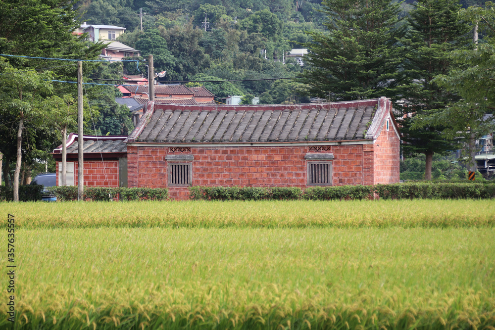 Taiwan agriculture rural