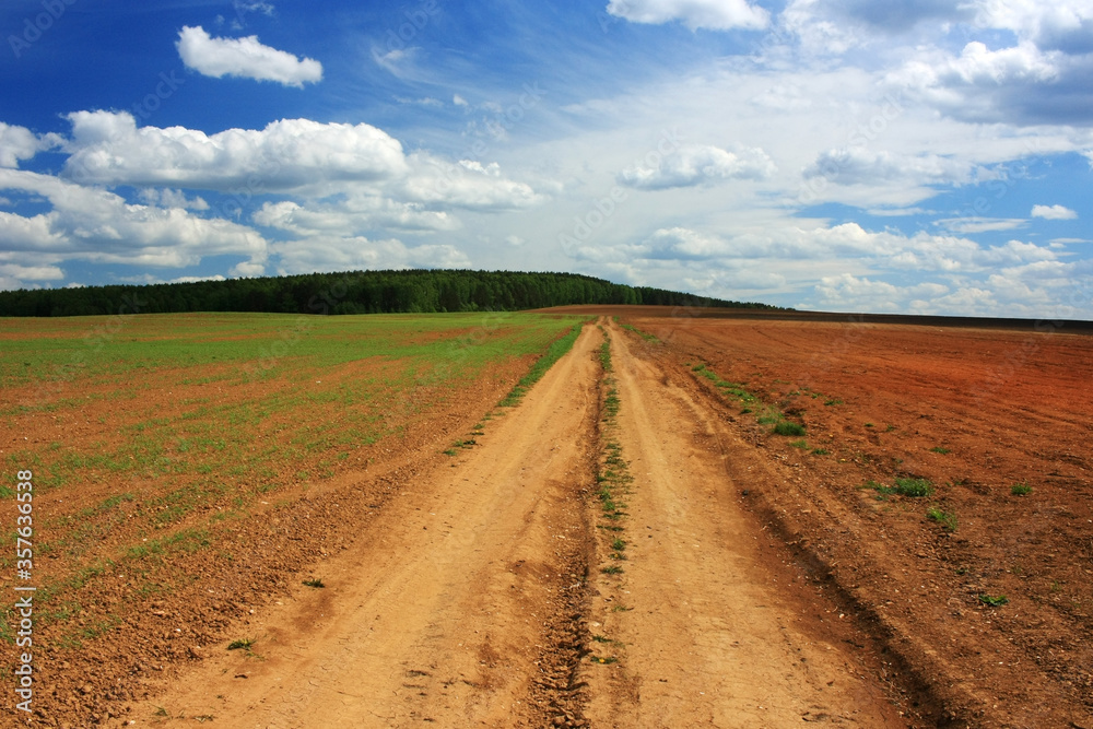 Dirt road in a field under a blue sky Dirt road in a field under a blue sky