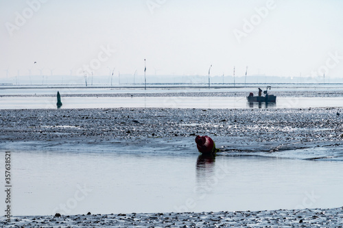 Coastline in zeeuwse village Yerseke with famous oysters wells during low tide, Zeeland, Netherlands photo