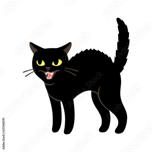 Angry black cat