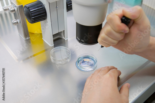 In vitro fertilization laboratory biotechnology cells analysis