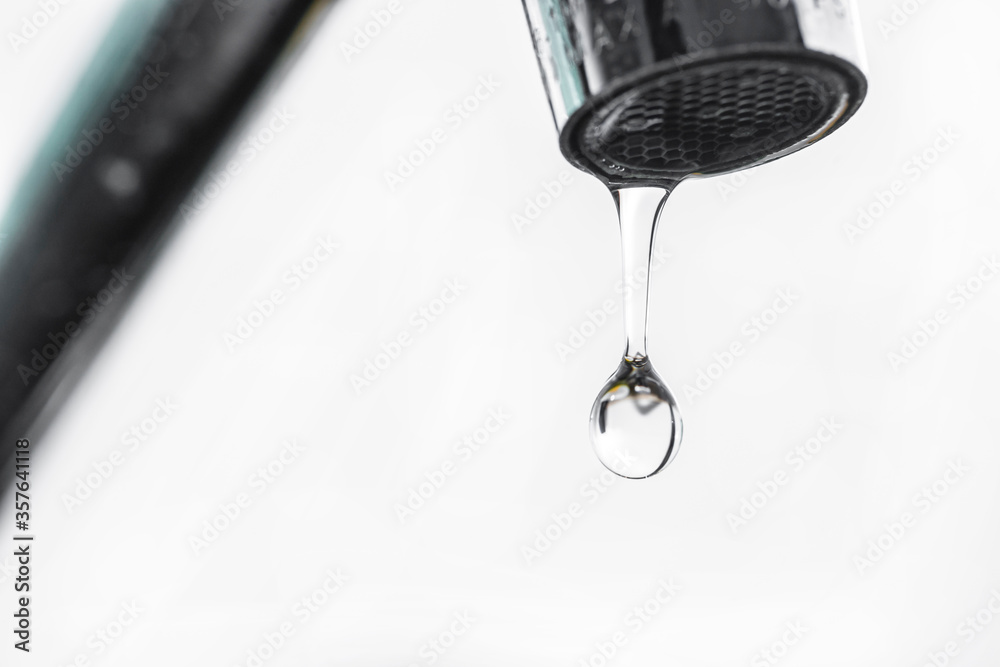 custom made wallpaper toronto digitalTap