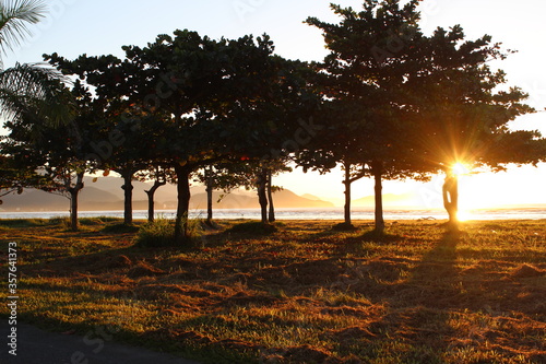sunset in the forest