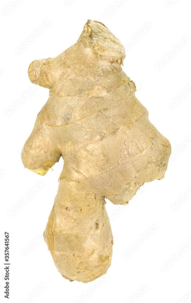 ginger on a white background ginger on a white background