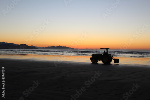 horses on the beach