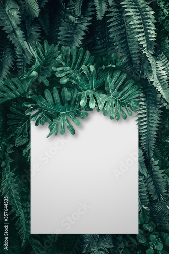 Blank paper on the tropical green leaf background
