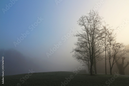 hazy winter sunrise in waterside park