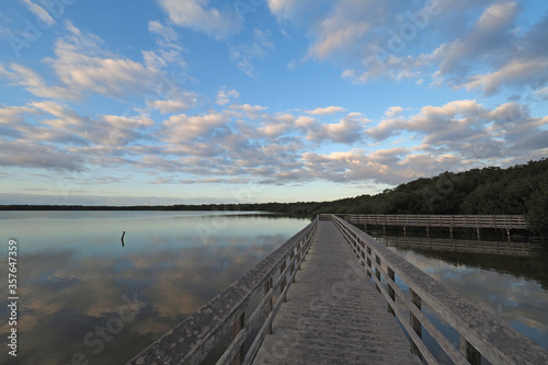 West Lake boardwalk in Everglades National Park  Florida under striking early morning cloudscape.