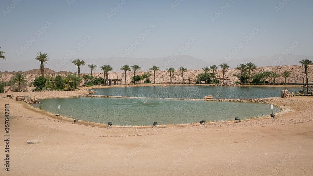 Oasis in Timna Park, Israel