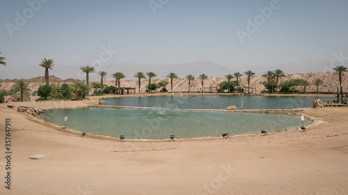 Oasis in Timna Park, Israel © fotobyvera