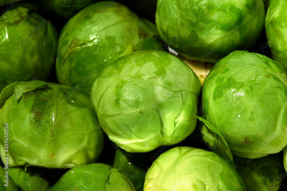 Fototapeta premium Brussels Sprout close up detailed