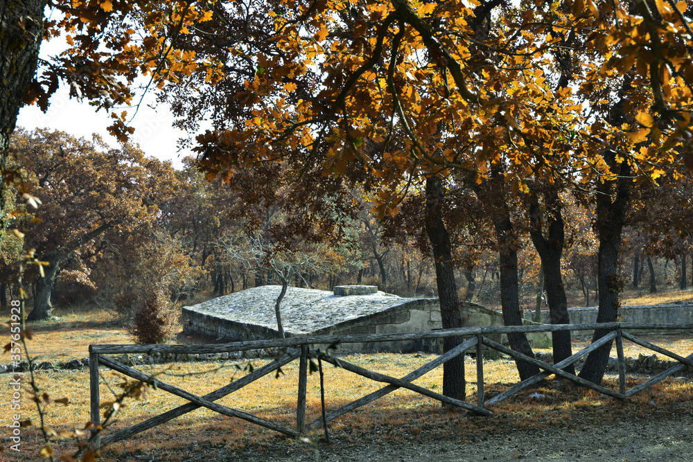 Paisaje otoñal en la reserva ecológica natural italiana con árboles y asiento de madera Paisaje otoñal en la reserva ecológica natural italiana con árboles y asiento de madera