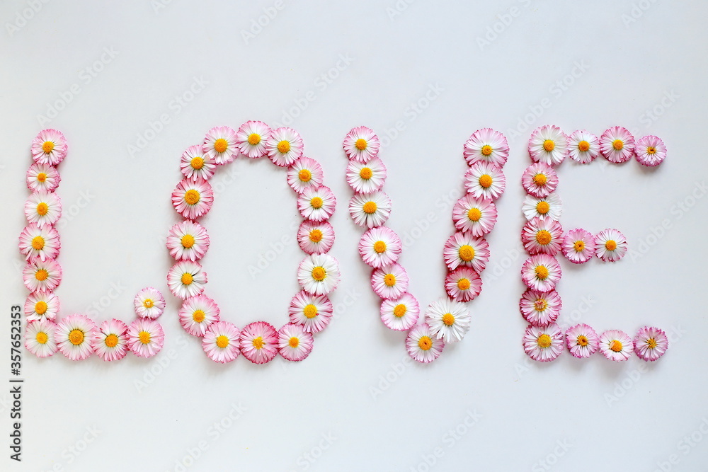 the word love is laid out with spring flowers daisies on a white background top view, flower arrangement