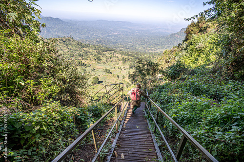 Mount Elgon National Park, Uganda. A rich biodiverse area of protected wildlife used by hikers and protected by rangers. 