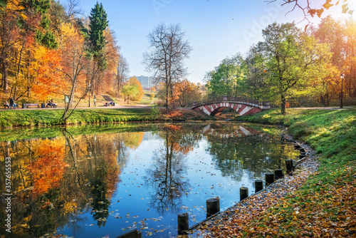 Striped bridge surrounded by colorful autumn trees in Tsaritsyno park in Moscow