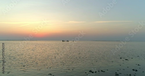 Aerial shot of silhouette horses and wranglers in beautiful sea against sky during sunset - Camargue, France photo