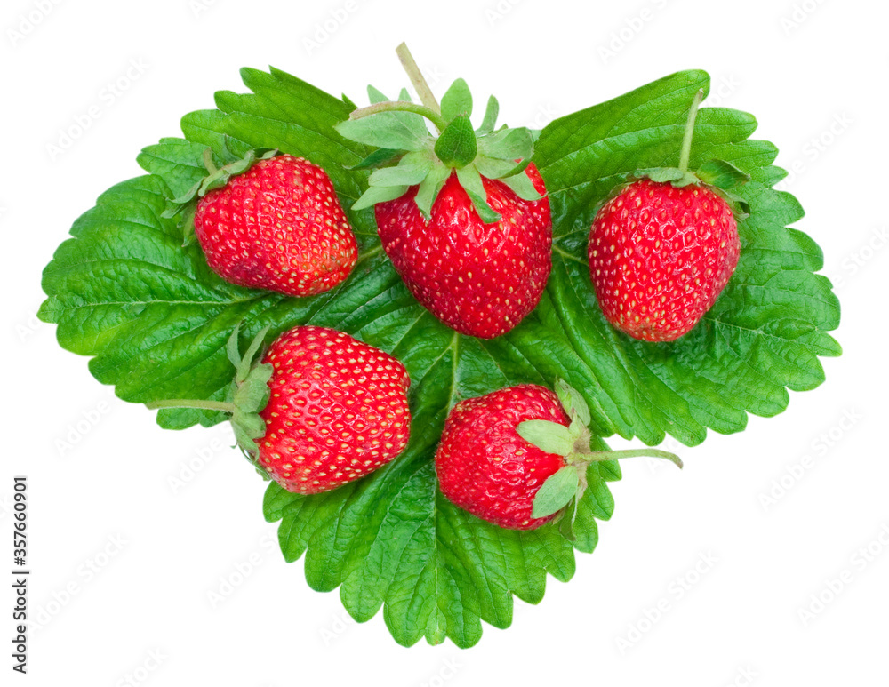 fresh strawberries on green leaf isolated on white background fresh strawberries on green leaf isolated on white background