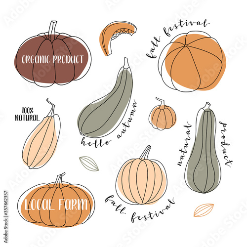 Pumpkin, squash, zucchini, marrow. Various shapes and colors. Perfect for autumn decorative design, thanksgiving and halloween invitation, harvest. Vector flat illustration