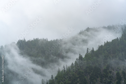 The Alps with fog © sebastianmuhlb