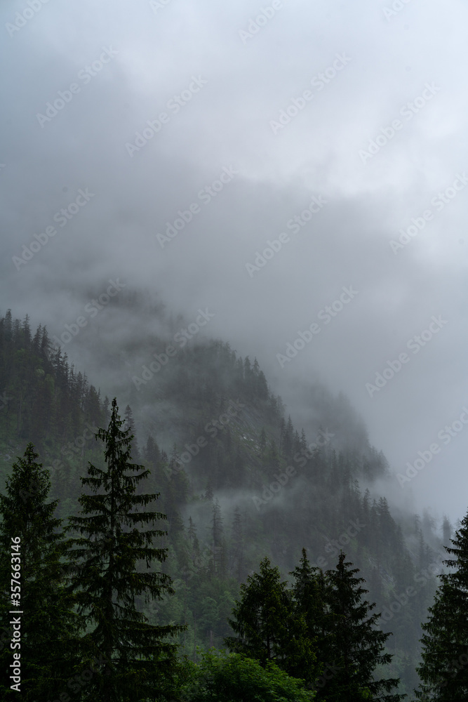 The Alps with fog