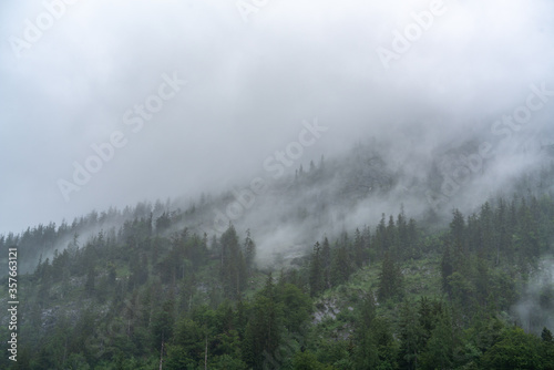 Fototapeta Naklejka Na Ścianę i Meble -  The Alps with fog