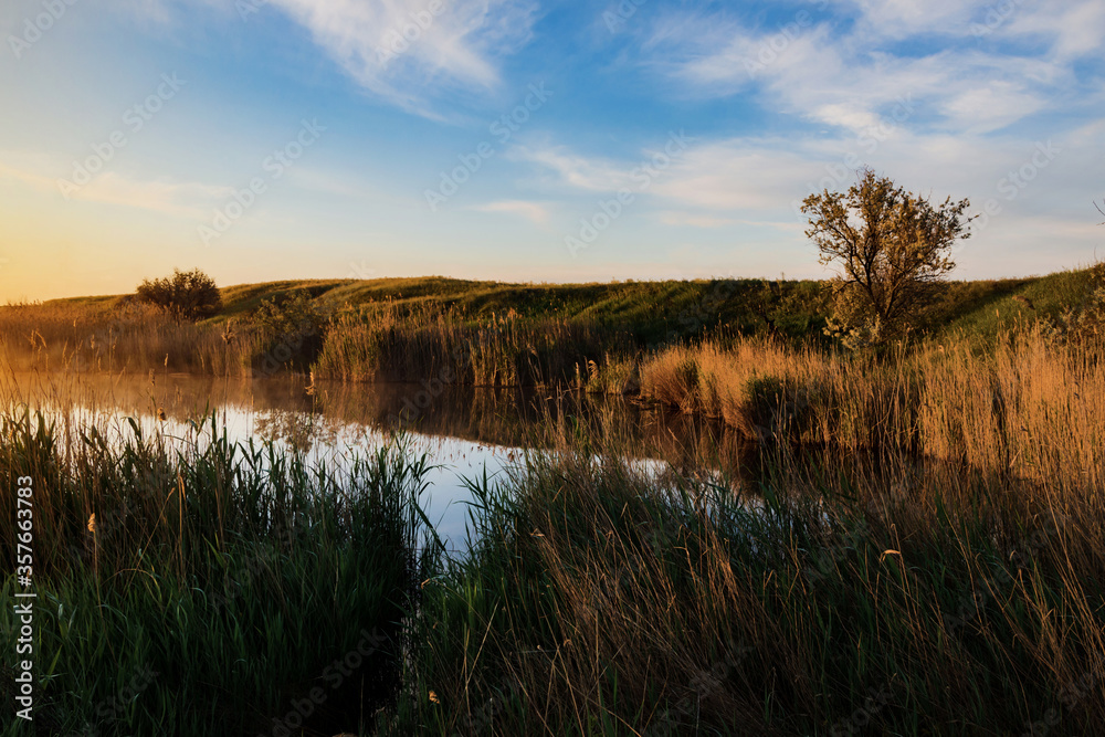 Sunrise over a steppe lake. The lake`s shore  is overgrown with reeds and sparse trees.