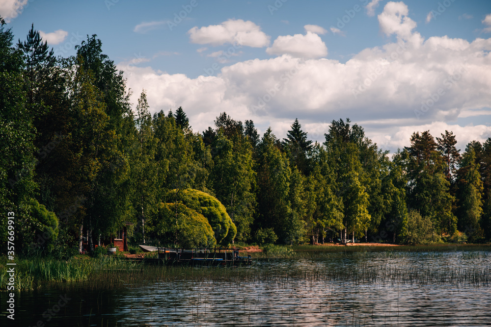 Naklejka premium lake in the forest