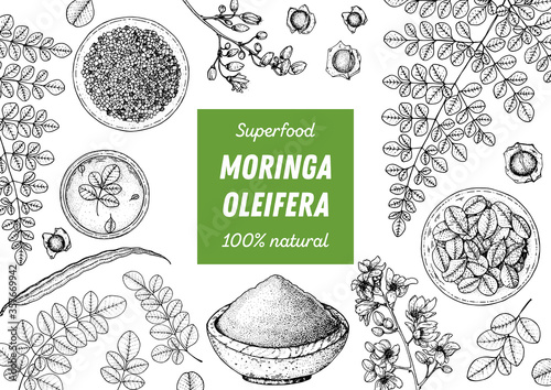 Moringa hand drawn sketch. Organic healthy food. Moringa leaves, plant, powder, seed. Super food hand drawn sketch. Vector illustration.