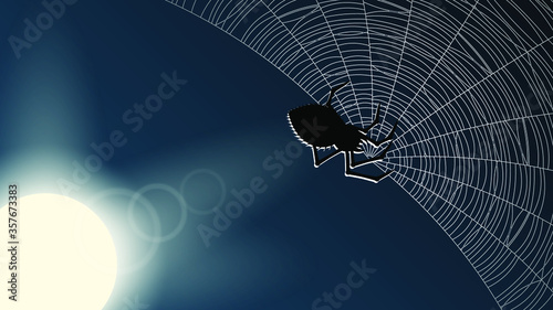 Spider Web On Dark Background With Moon Halloween Design Elements Spooky Scary Horror Decor Vector