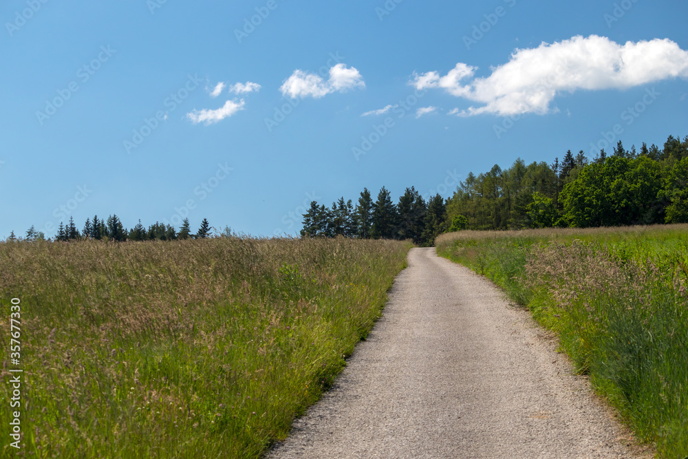 Dirt road - road uphill between fields, in the background forest and blue sky
