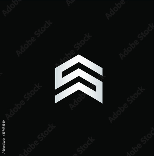 Abstract letter S logo