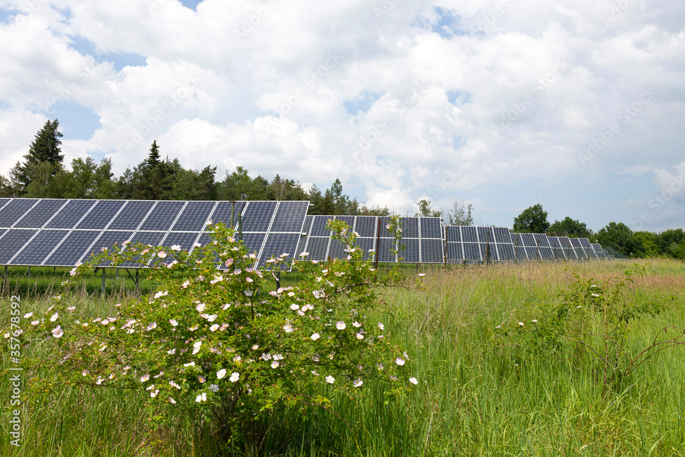 Solar Power Station on the spring flowering Meadow