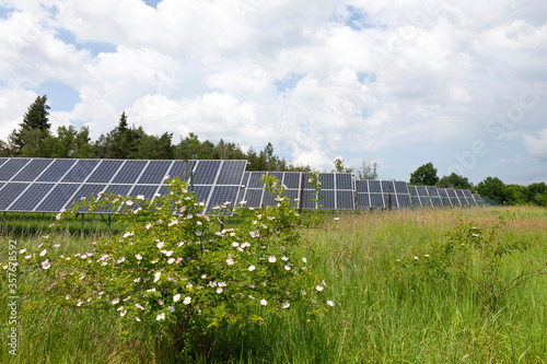Obraz na płótnie Solar Power Station on the spring flowering Meadow w salonie