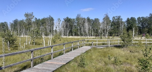 Dosenmoor, Neumünster